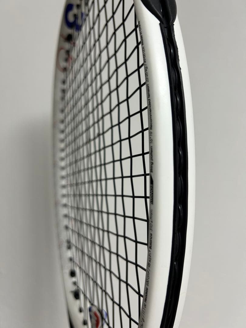 Tecnifibre T-FIGHT rs 315 ティーファイト