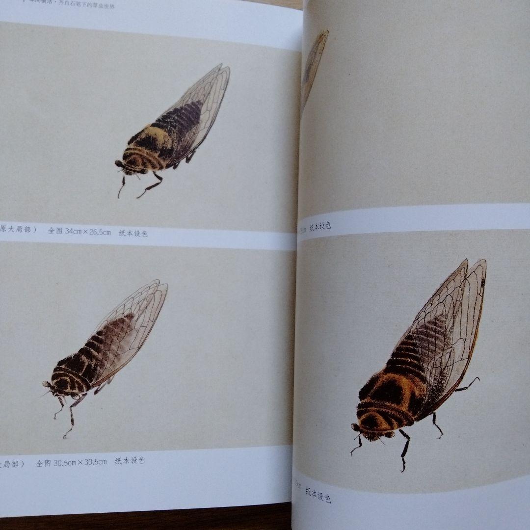 水墨画巨匠【草間偷活.斉白石草虫世界大型画集】北京画院編中国美術研究者の座右の書