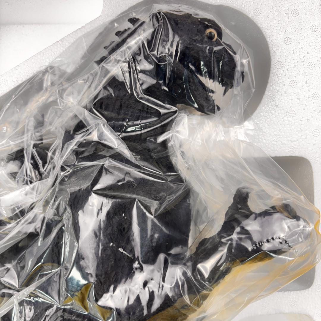 ゴジラ 1954 少年リック 限定版 酒井ゆうじ ギガンテックシリーズ