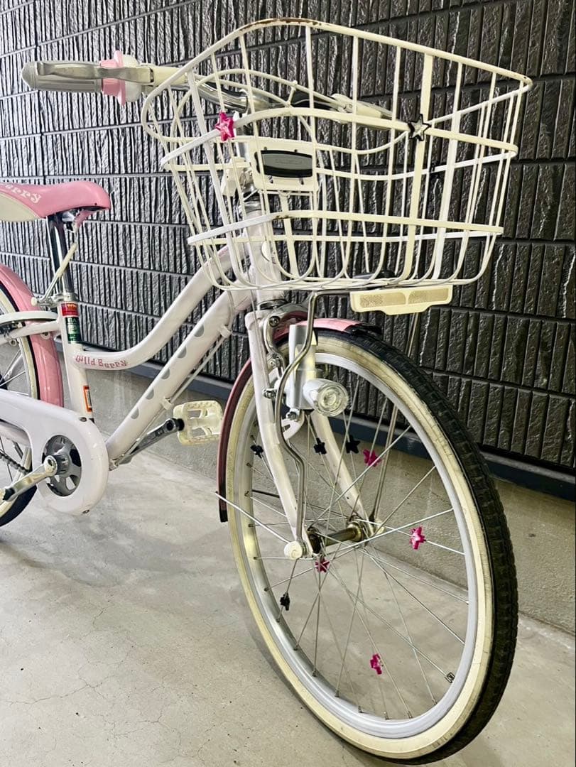ブリヂストンサイクル　ジュニア向け自転車「ワイルドベリー」　20インチ