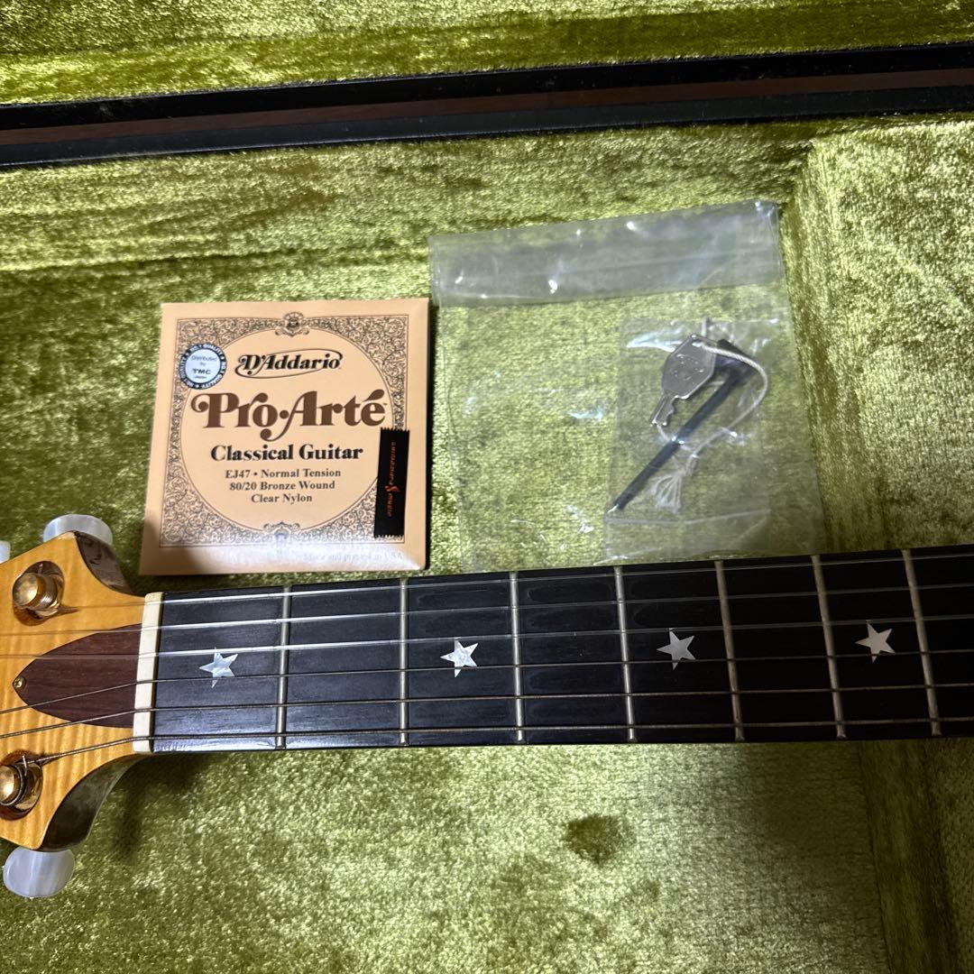 【絶版】Guyatone EG-2100M三根信宏モデル ギター