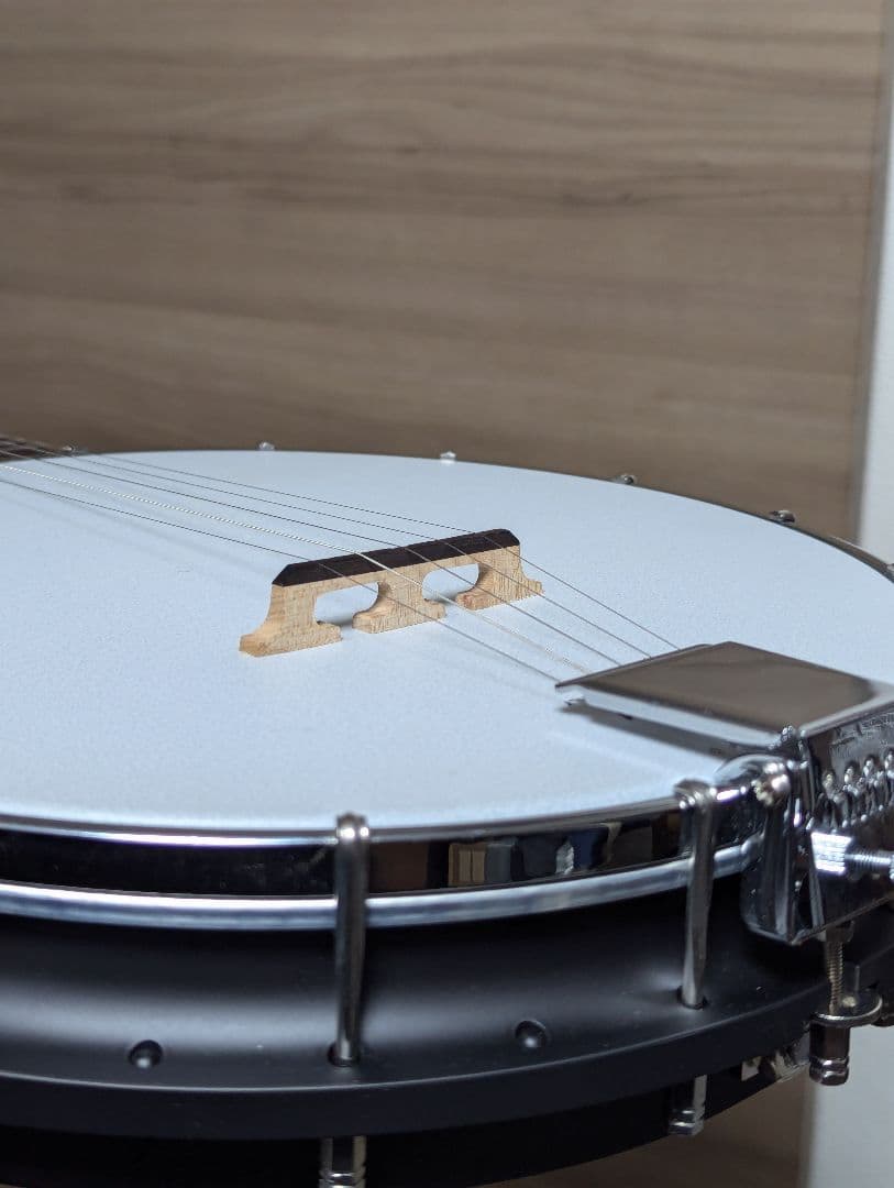 美品 Gold Tone AC-1 5弦バンジョー ケース付