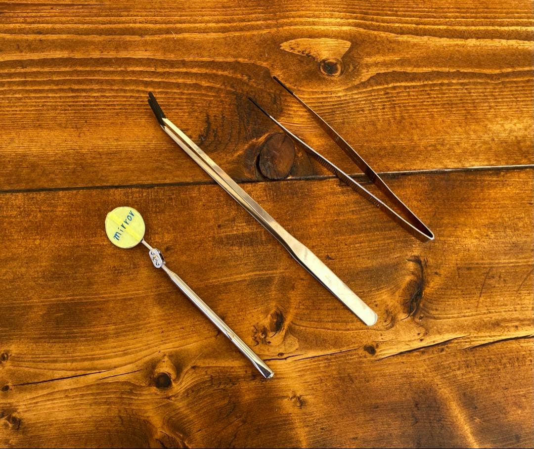 クワガタ採集セット　オリジナルかき出し棒　採集道具　迷彩柄　採集ケース　オレンジ