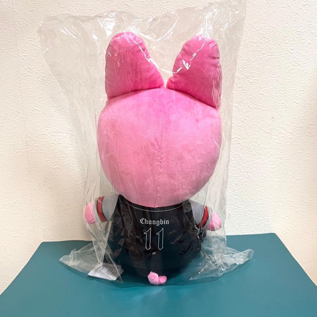 Stray Kids スタジアム チャンビン skzoo ぬいぐるみ