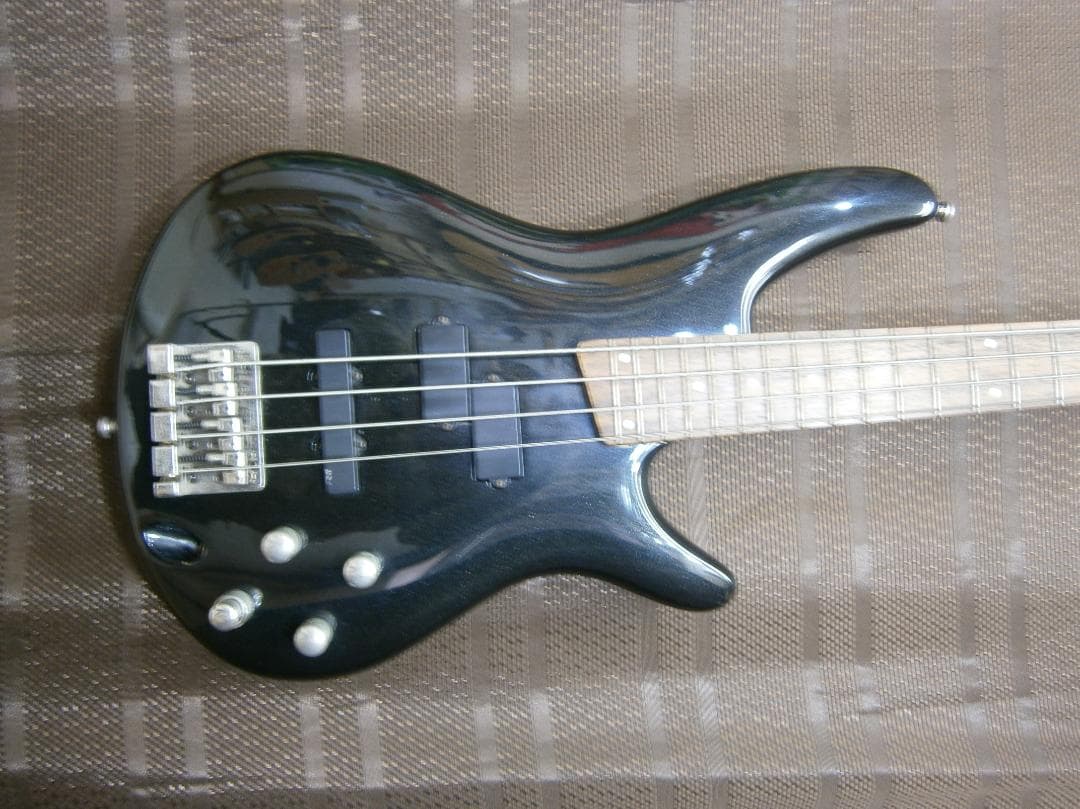 アイバニーズ＜SDGR＞SR350・アクティブタイプ