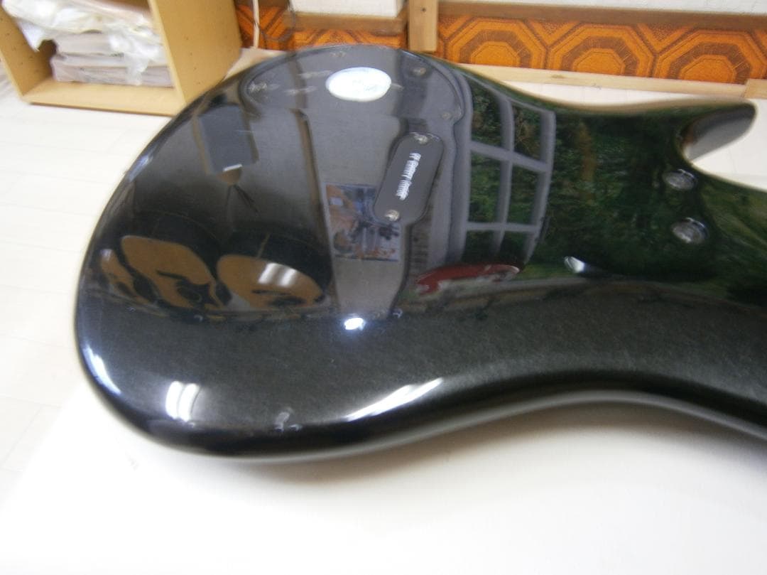 アイバニーズ＜SDGR＞SR350・アクティブタイプ