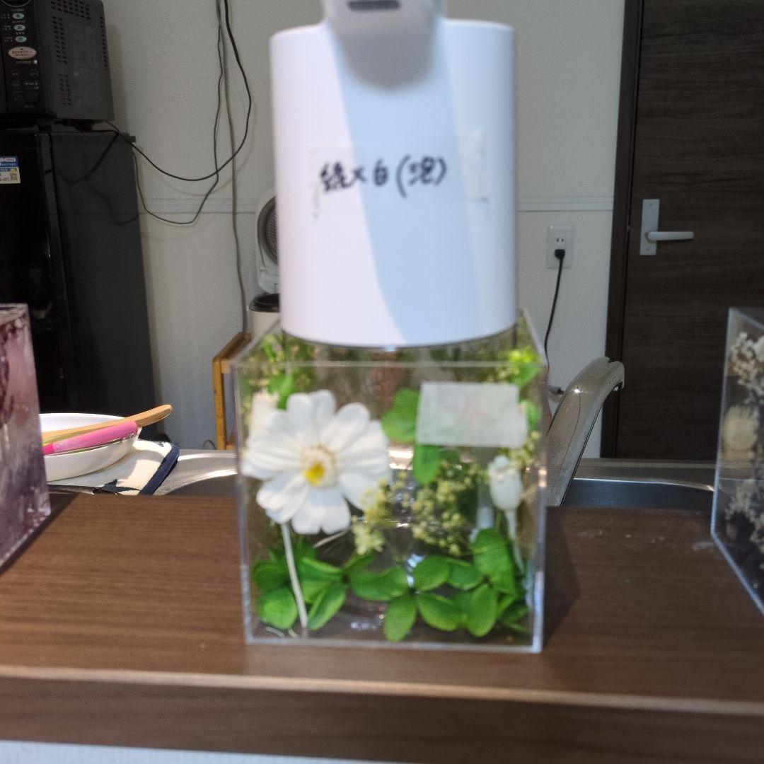 89baka　青と緑のオートディスペンサー2つ