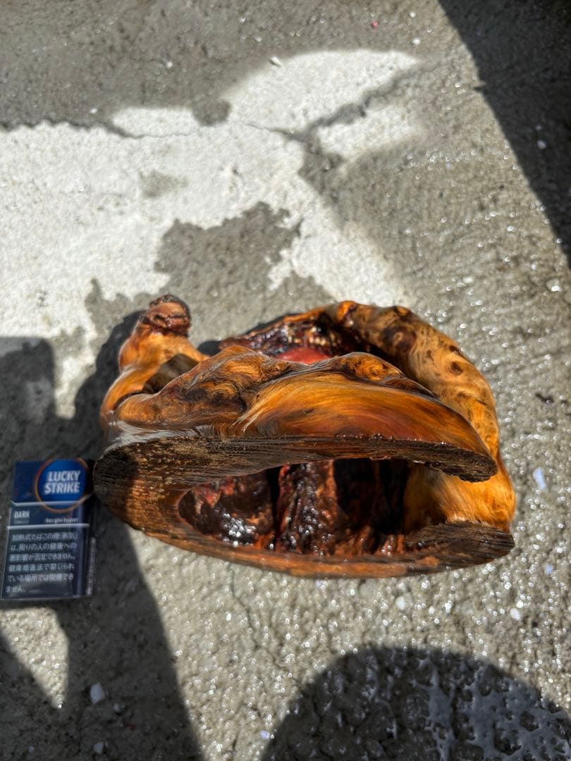 流木　アクアリウム