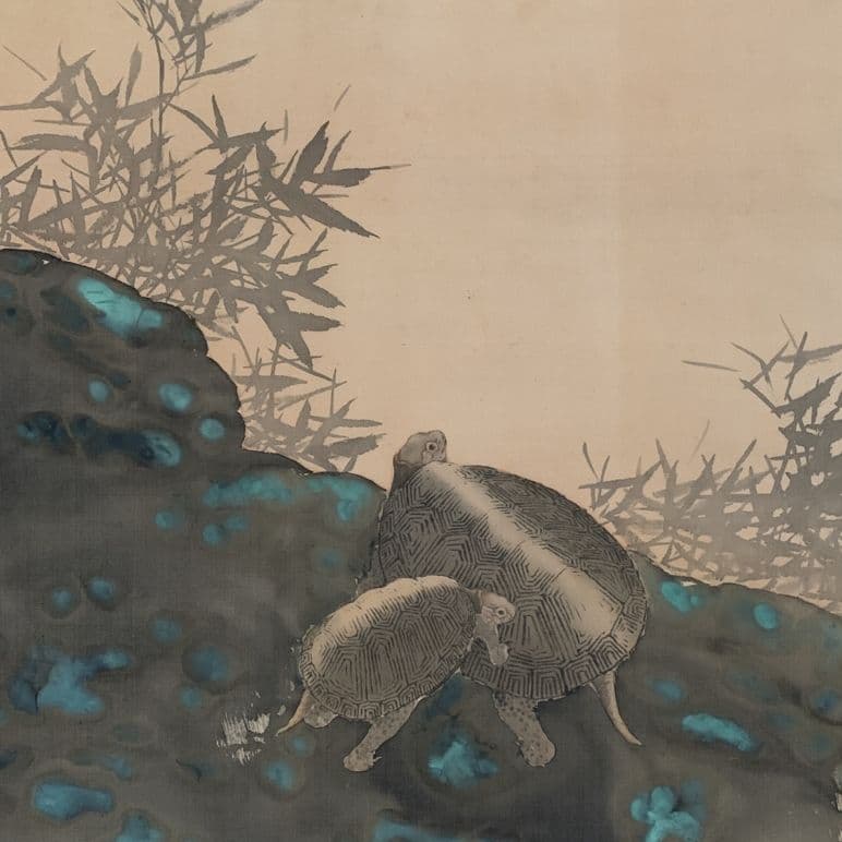 亀の絵 喜田華堂筆