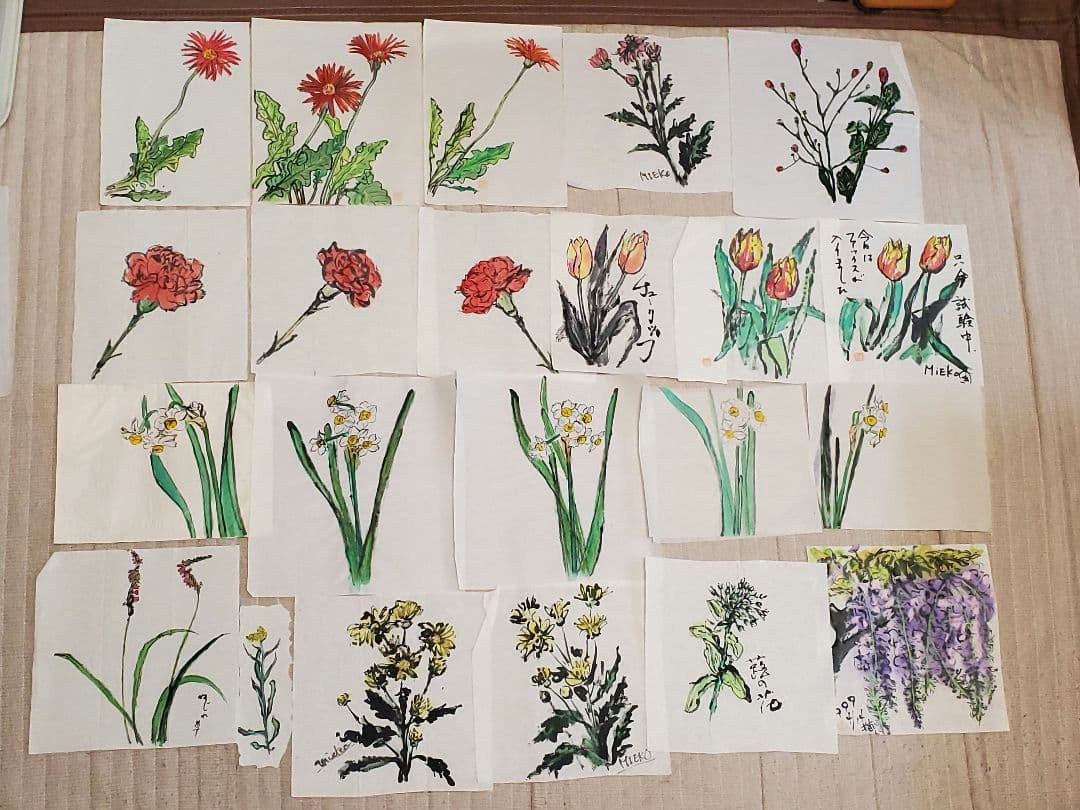 水彩画　絵手紙　絵画　絵　約48点　まとめ