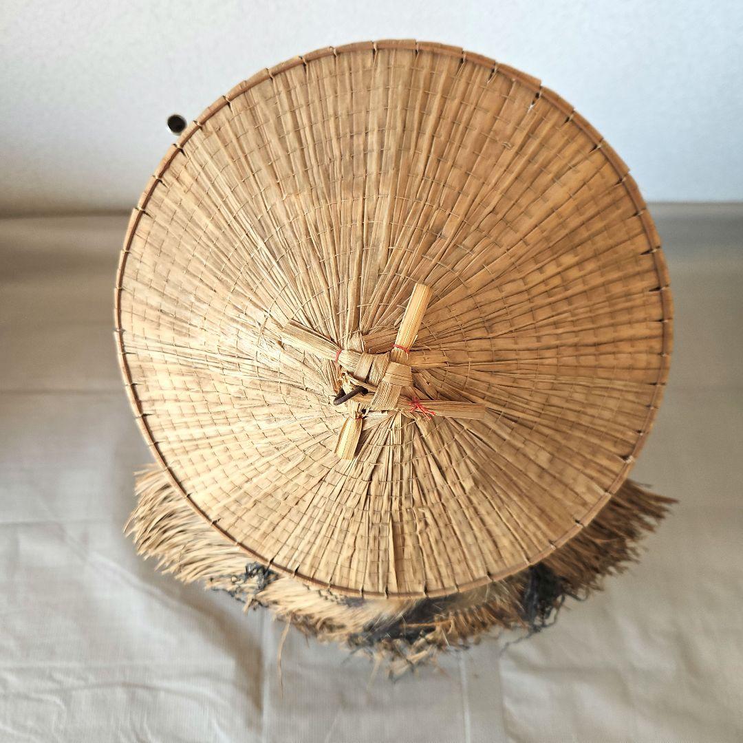 剥製　狸　タヌキ　獣　縁起物　商売繁盛　出世運　レトロ　天然木　台座付き