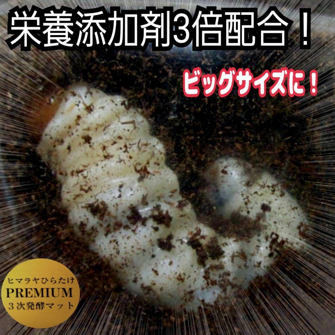 そう　プレミアム発酵マット40リットル