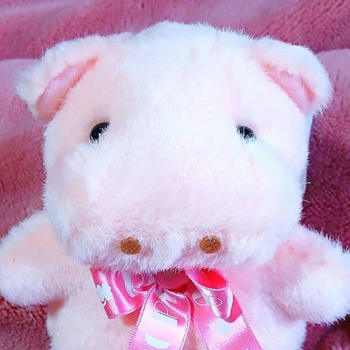 TAKENOKO　たけのこ　ポッポちゃん　カバ　ミニ　ぬいぐるみ　ぴんくのぶた