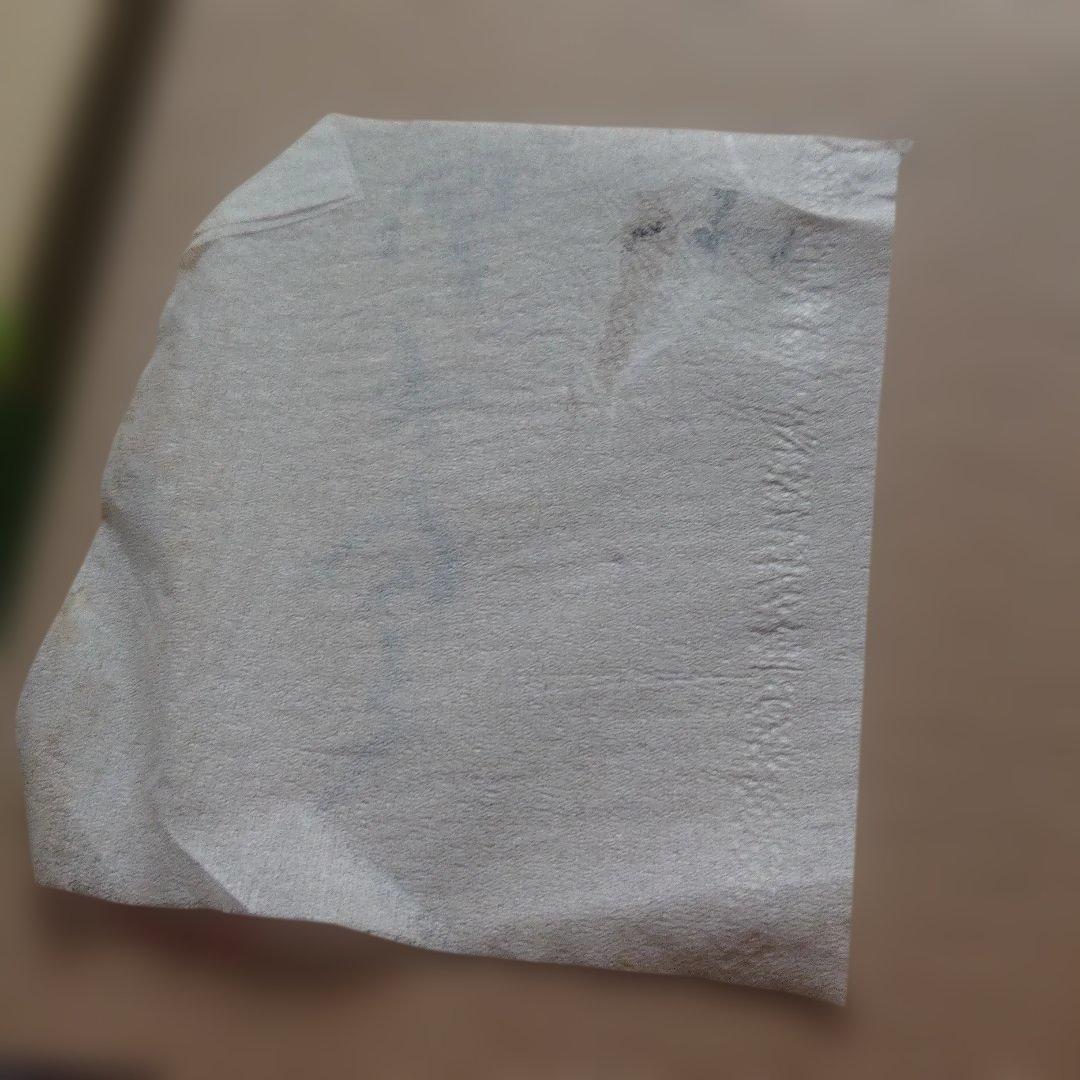 人間国宝　大野昭和斎の木工芸　サイン入り 至文堂　A