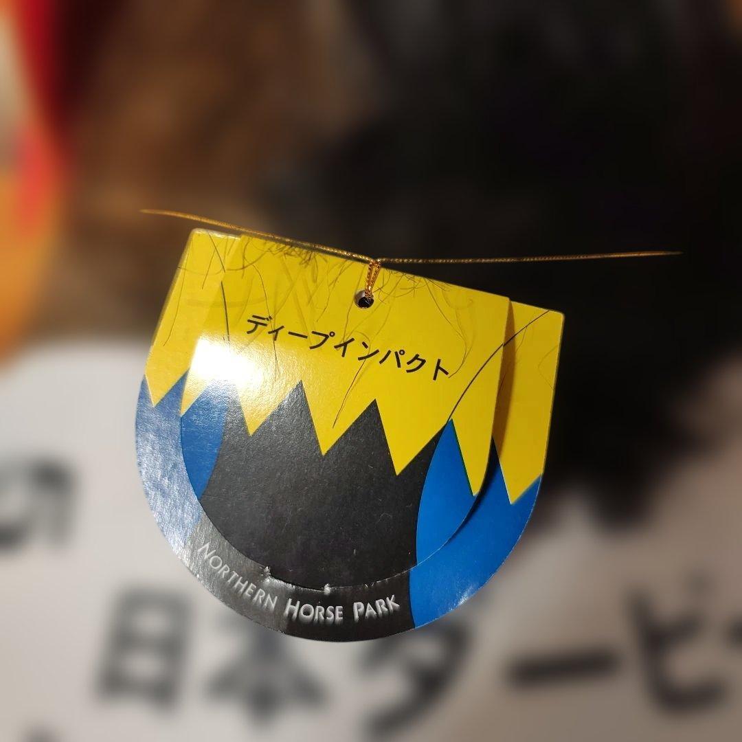 AVANTI ディープインパクト 2Lサイズ ぬいぐるみ 極美品 レア タグ付き