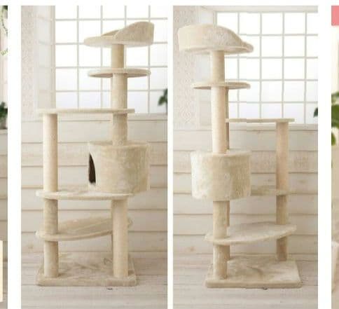 Mau　キャットタワー リッチエッグ