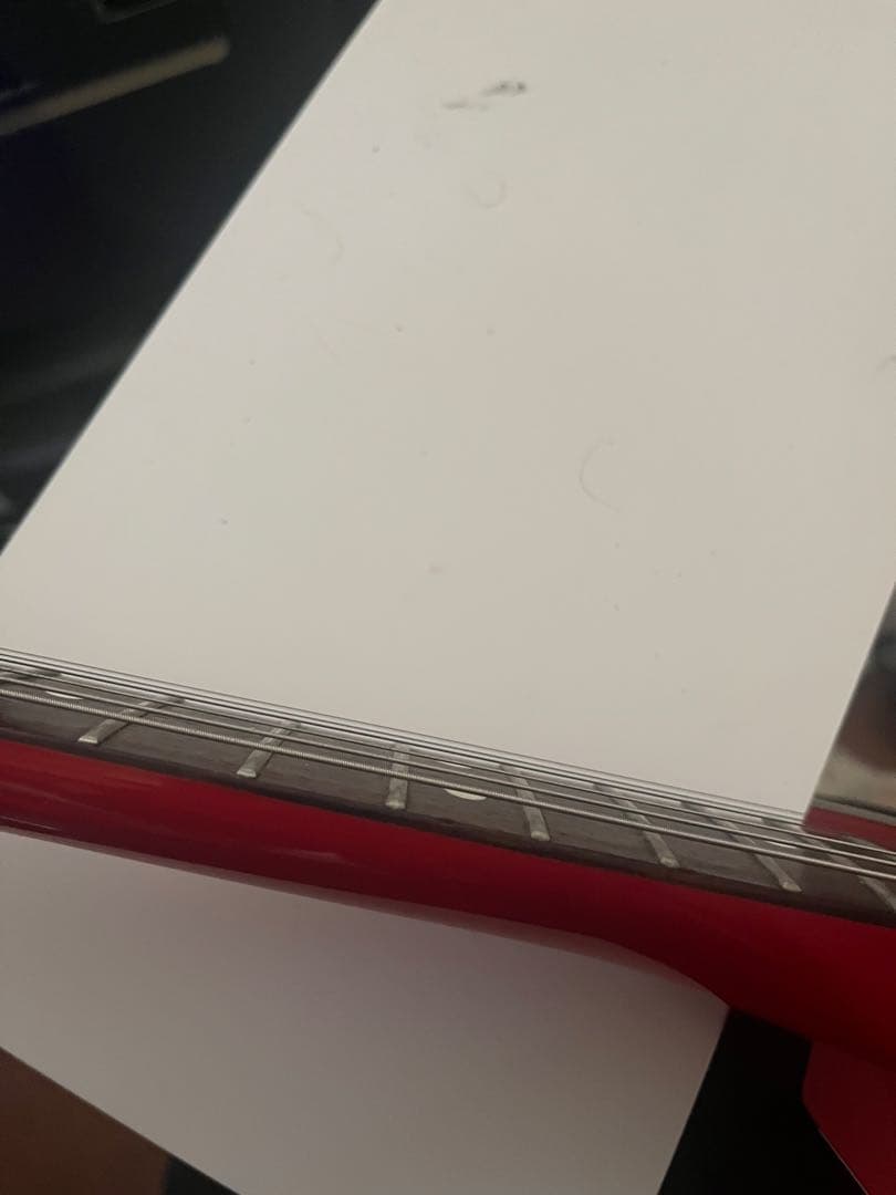 【STN】ジャパンビンテージ　フェルナンデス　the function