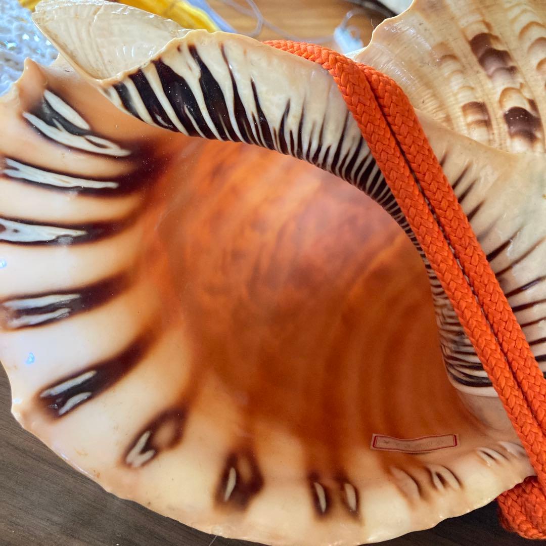 法螺貝 大型40cm 以上　吹き口付き 網袋・房付き 修験道 山伏