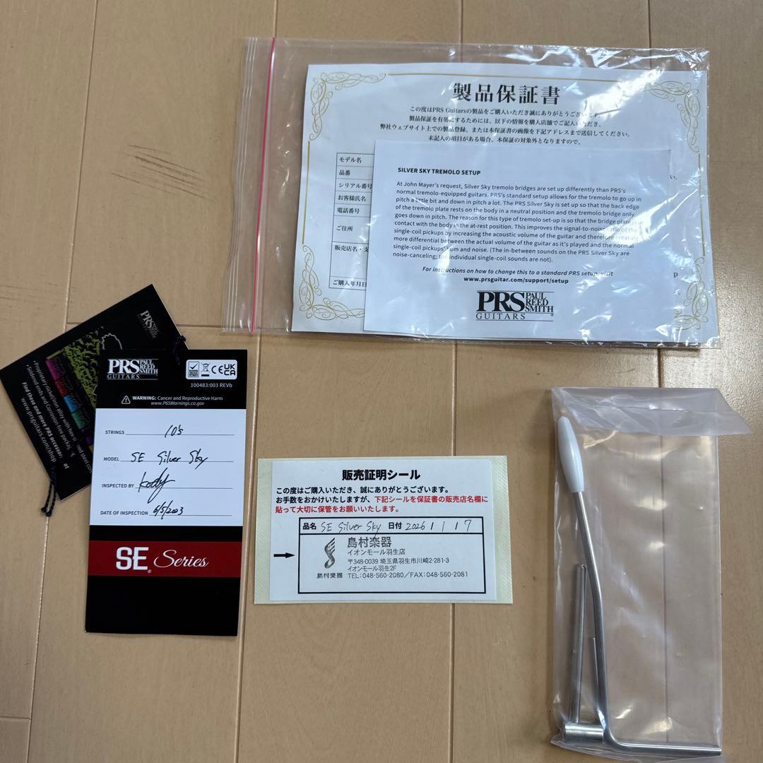 【2/25まで】PRS SE silver sky Storm Gray