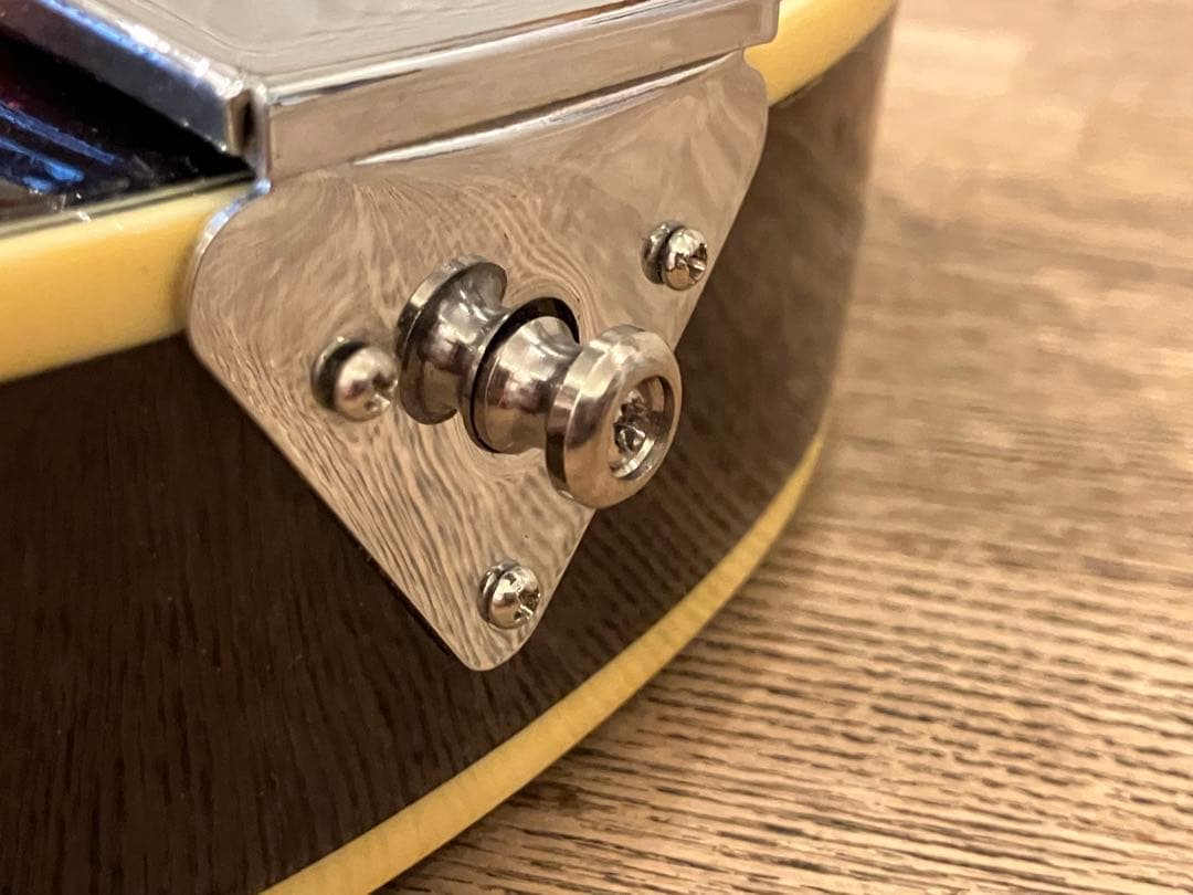 aria エレキマンドリン (Ritter ケース付き)