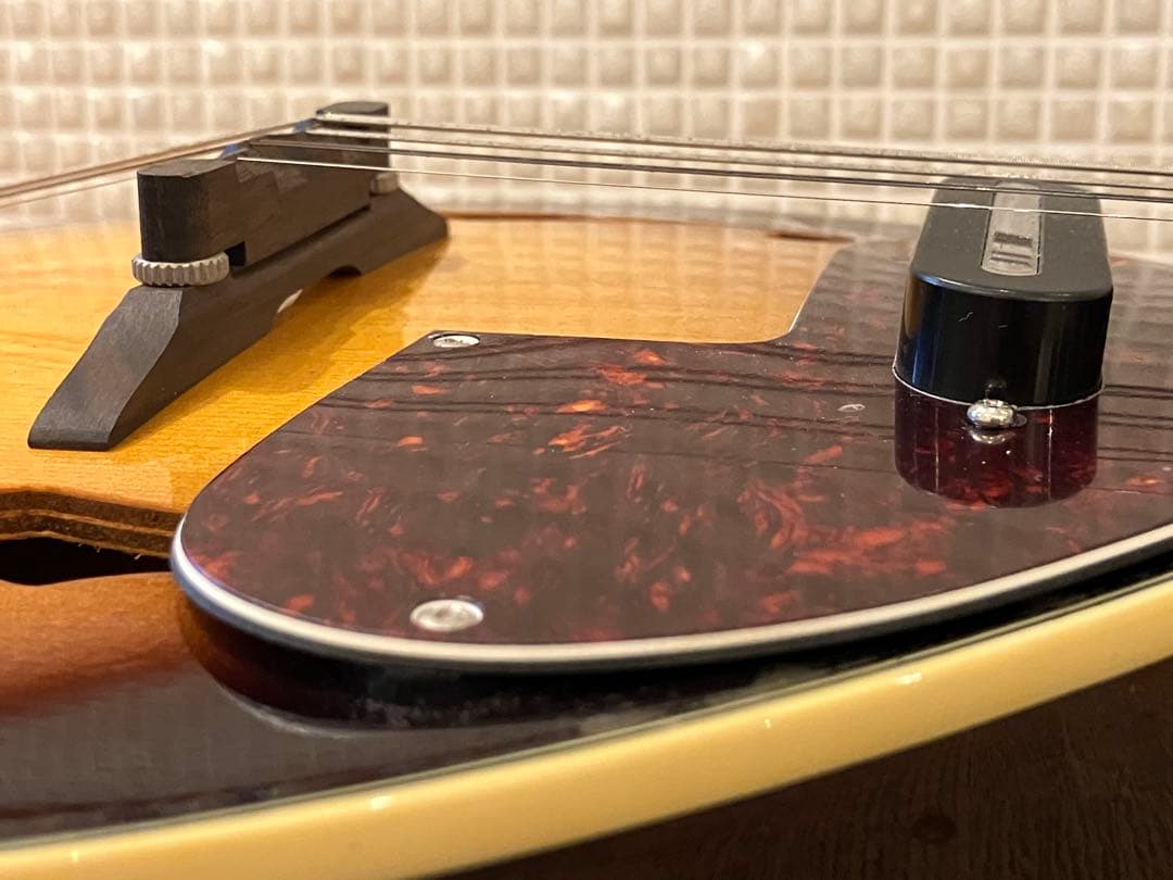 aria エレキマンドリン (Ritter ケース付き)